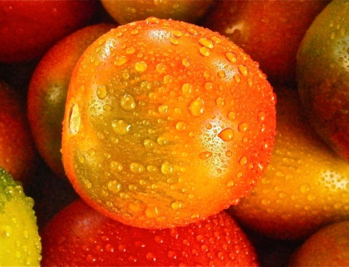 Any nutrient holes in your diet revealed – quick and simple